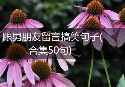 跟男朋友留言搞笑句子(合集50句)