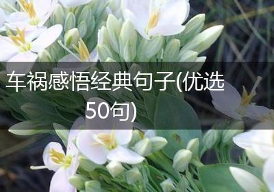 车祸感悟经典句子(优选50句)