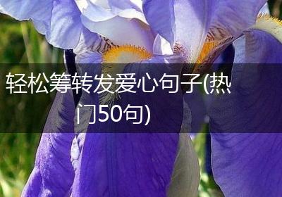轻松筹转发爱心句子(热门50句)