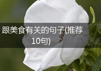 跟美食有关的句子(推荐10句)
