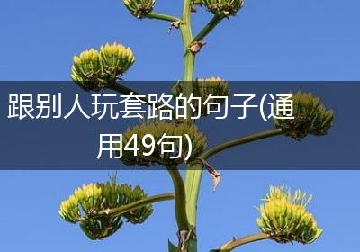 跟别人玩套路的句子(通用49句)
