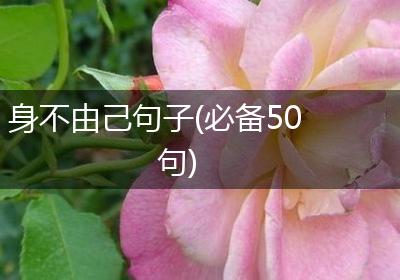 身不由己句子(必备50句)