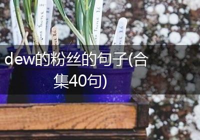 dew的粉丝的句子(合集40句)