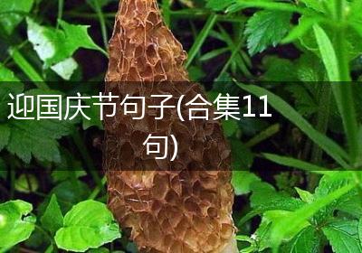 迎国庆节句子(合集11句)