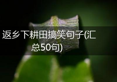 返乡下耕田搞笑句子(汇总50句)