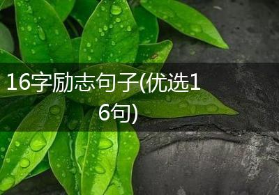 16字励志句子(优选16句)