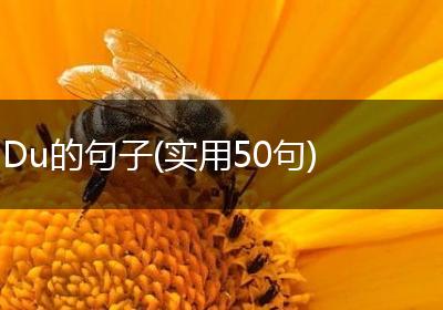Du的句子(实用50句)