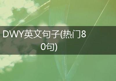 DWY英文句子(热门80句)