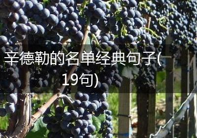 辛德勒的名单经典句子(19句)