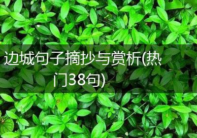 边城句子摘抄与赏析(热门38句)