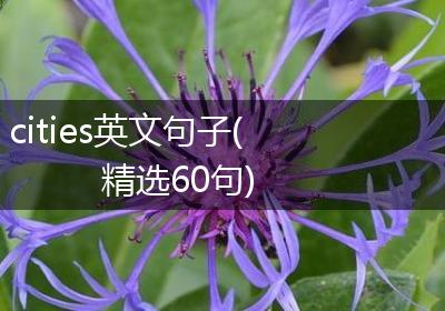 cities英文句子(精选60句)