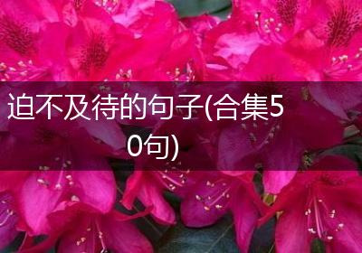 迫不及待的句子(合集50句)