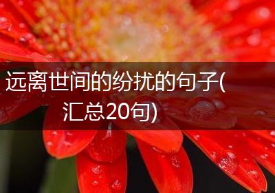 远离世间的纷扰的句子(汇总20句)