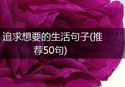 追求想要的生活句子(推荐50句)