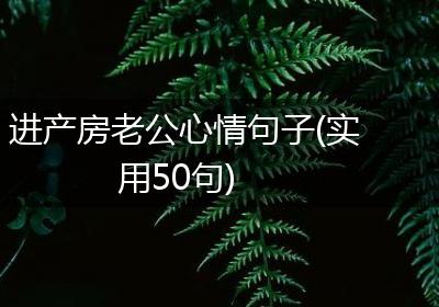 进产房老公心情句子(实用50句)