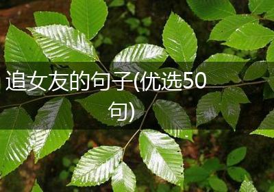 追女友的句子(优选50句)