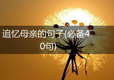 追忆母亲的句子(必备40句)