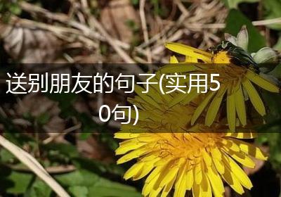送别朋友的句子(实用50句)