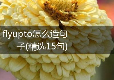flyupto怎么造句子(精选15句)