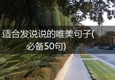 适合发说说的唯美句子(必备50句)