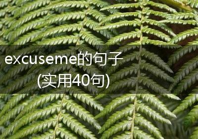 excuseme的句子(实用40句)