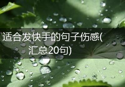 适合发快手的句子伤感(汇总20句)