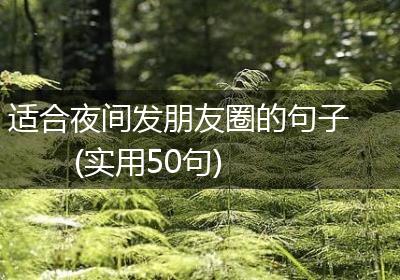 适合夜间发朋友圈的句子(实用50句)