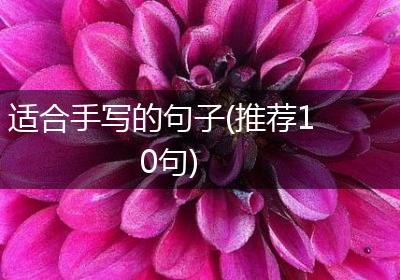 适合手写的句子(推荐10句)