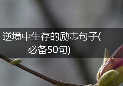 逆境中生存的励志句子(必备50句)