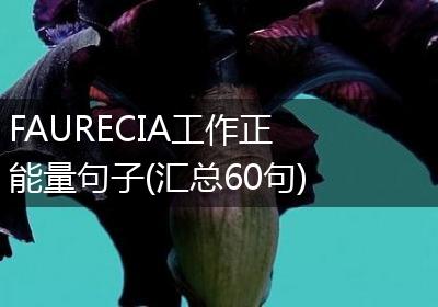 FAURECIA工作正能量句子(汇总60句)