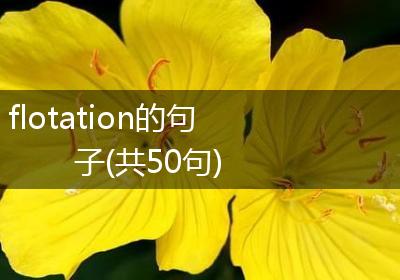 flotation的句子(共50句)