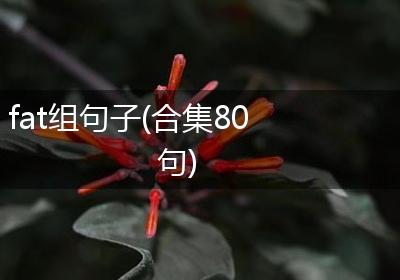 fat组句子(合集80句)