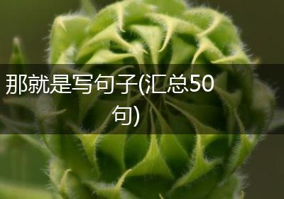 那就是写句子(汇总50句)