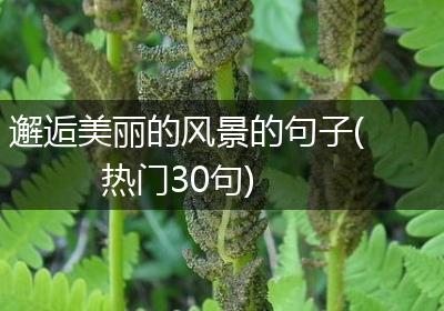 邂逅美丽的风景的句子(热门30句)