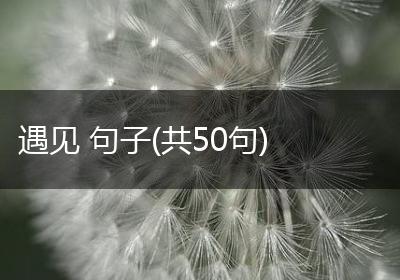 遇见 句子(共50句)