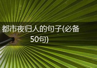 都市夜归人的句子(必备50句)