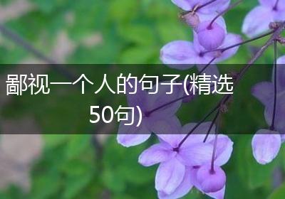 鄙视一个人的句子(精选50句)
