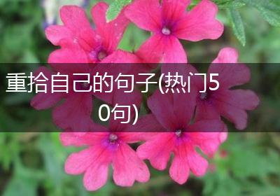 重拾自己的句子(热门50句)