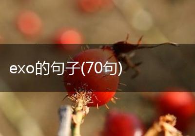 exo的句子(70句)