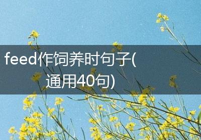 feed作饲养时句子(通用40句)