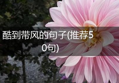 酷到带风的句子(推荐50句)