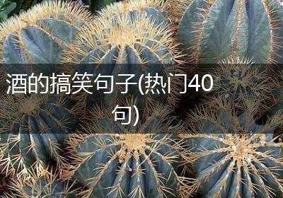 酒的搞笑句子(热门40句)