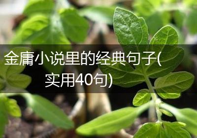 金庸小说里的经典句子(实用40句)