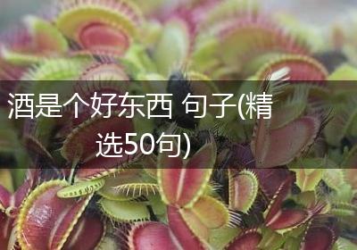 酒是个好东西 句子(精选50句)