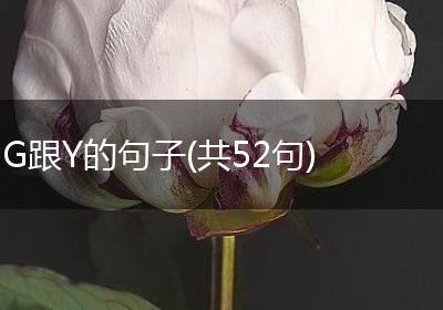 G跟Y的句子(共52句)