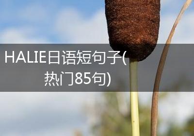 HALIE日语短句子(热门85句)
