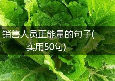 销售人员正能量的句子(实用50句)
