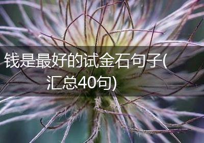 钱是最好的试金石句子(汇总40句)