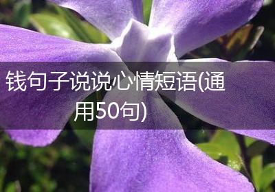 钱句子说说心情短语(通用50句)