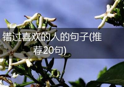 错过喜欢的人的句子(推荐20句)